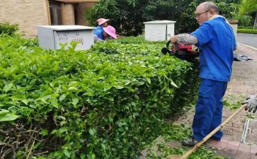 园林绿化个人年终总结5篇