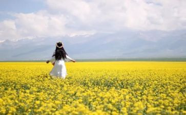旅游范本合同5篇
