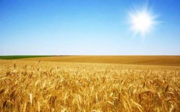 麦田守望者的读后感通用5篇