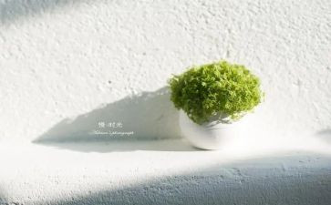 傲慢与偏见心得体会优秀8篇