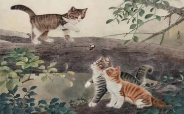 猫与老鼠作文6篇