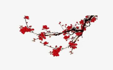 以梅花喻人作文6篇