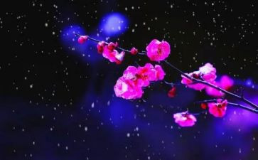植物梅花的作文8篇