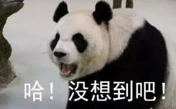 真没想到600字作文7篇