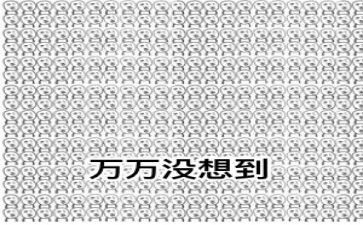 没想到600字作文5篇