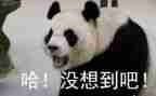 真没想到600字作文7篇