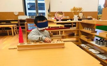 幼儿园大班蒙氏教学计划8篇