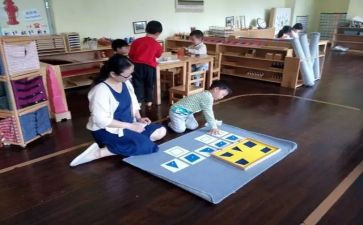 幼儿园蒙氏数学教学总结5篇