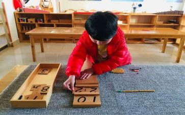 幼儿园大班蒙氏教学计划最新6篇