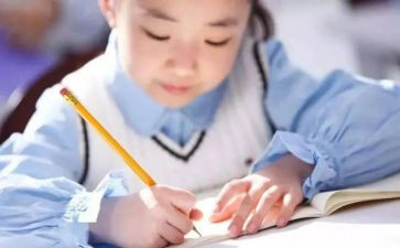 对书的痴迷作文800字8篇
