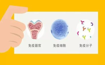 医学检验生免疫自我鉴定5篇