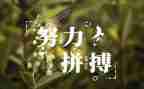 《名人传》心得模板5篇