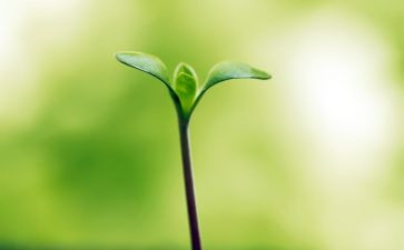 《向命运挑战》读后感6篇