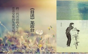 目送作文5篇