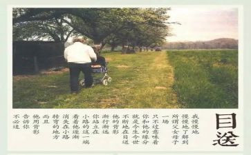 目送作文600字8篇
