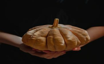 南瓜饼教案通用7篇