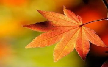 关于难忘的人作文400字6篇