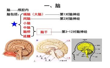 购买电脑的合同7篇