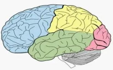 没头脑的作文8篇