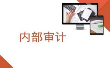 内审员工作总结5篇