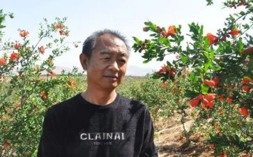 农科员述职报告范文7篇