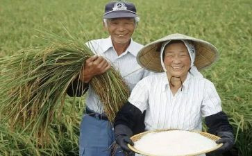 农民专业合作工作总结5篇