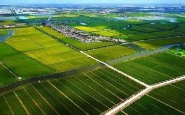 农业类的实习报告模板6篇