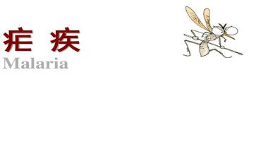全国疟疾日宣传活动总结5篇