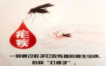 426疟疾宣传活动总结8篇