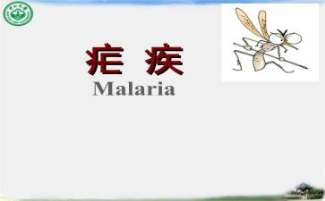 2024疟疾宣传活动总结8篇