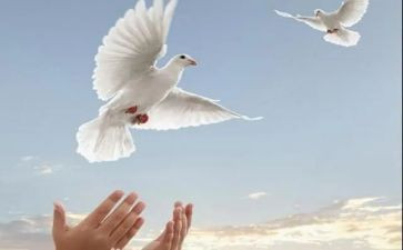 诺言的作文推荐7篇