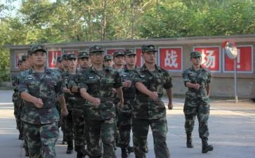 2024排长半年总结7篇