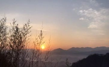 盼春天作文600字模板6篇