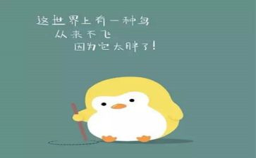 我的烦恼胖作文700字7篇