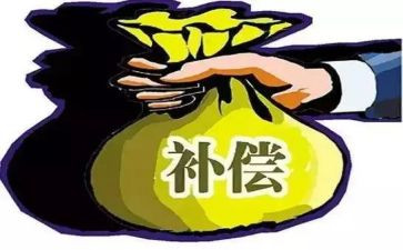 国家赔偿申请书模板6篇