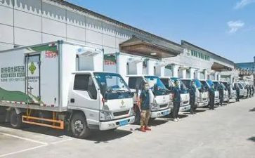 物流与配送实习报告8篇