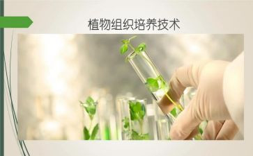 教师双培养工作计划8篇