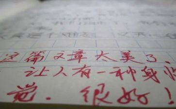 作文评语读后感8篇