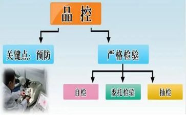 品控的个人总结8篇