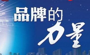 品牌的调查报告6篇
