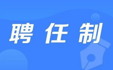 述职聘任报告范文8篇