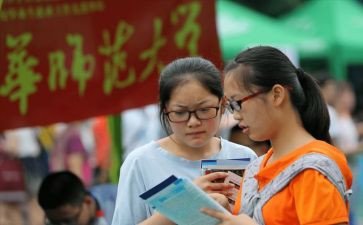 聘用期个人总结参考5篇