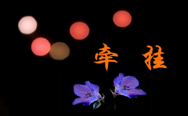 我牵挂作文最新6篇