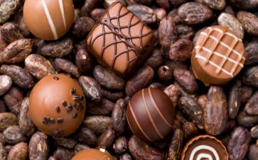 巧克力观后感7篇