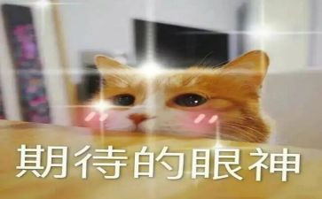 我很期待作文7篇