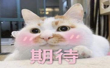(期待)的演讲稿5篇