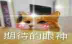 我很期待作文7篇