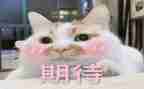 (期待)的演讲稿5篇