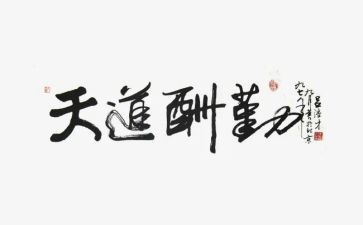 小学后勤校长述职报告7篇