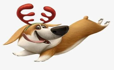 村社区犬只管理工作总结5篇